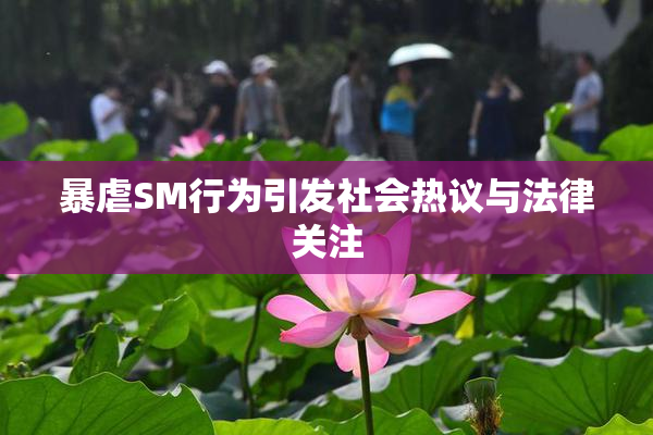 暴虐SM行为引发社会热议与法律关注