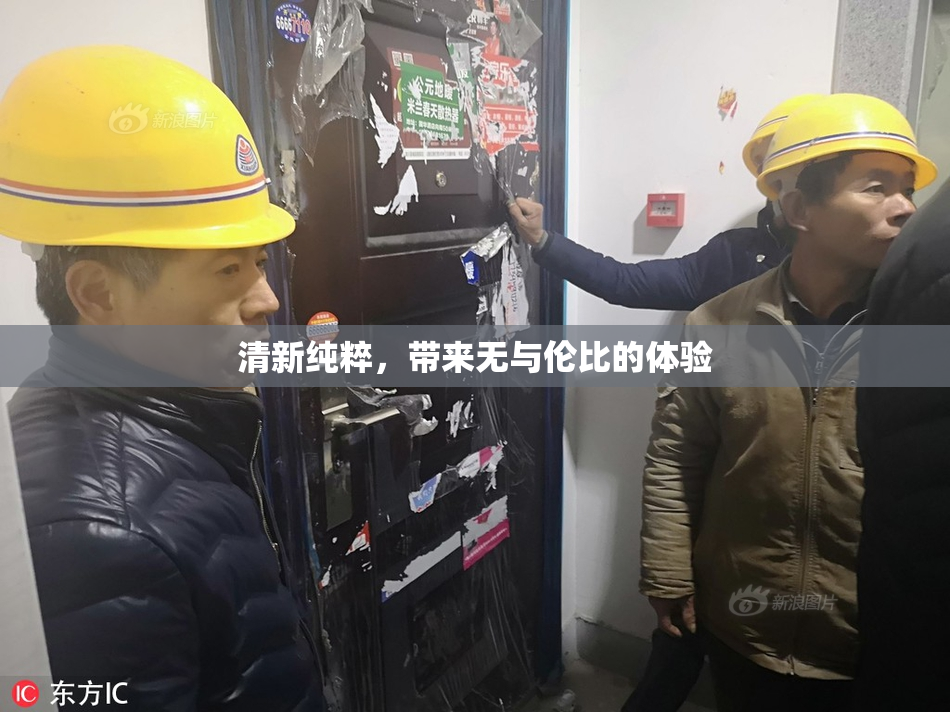 清新纯粹，带来无与伦比的体验