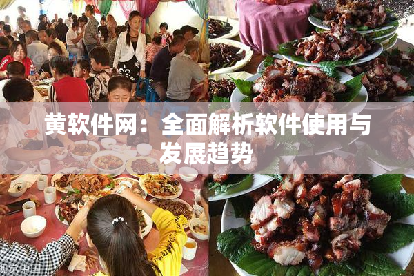 黄软件网：全面解析软件使用与发展趋势