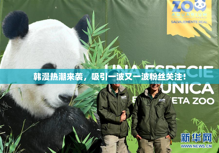 韩漫热潮来袭，吸引一波又一波粉丝关注！