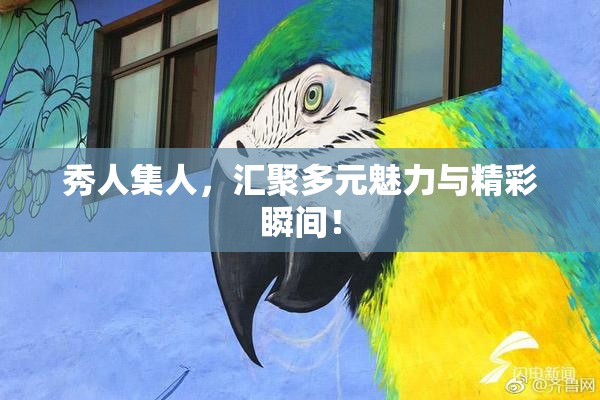 秀人集人，汇聚多元魅力与精彩瞬间！