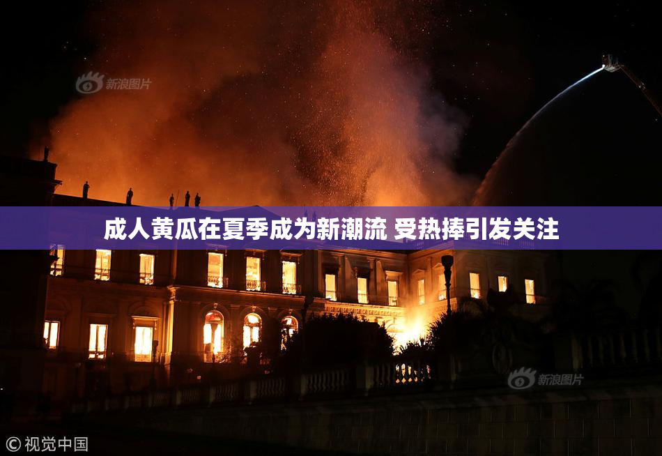 成人黄瓜在夏季成为新潮流 受热捧引发关注