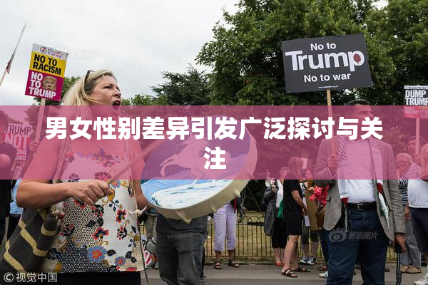 男女性别差异引发广泛探讨与关注