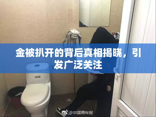 金被扒开的背后真相揭晓，引发广泛关注