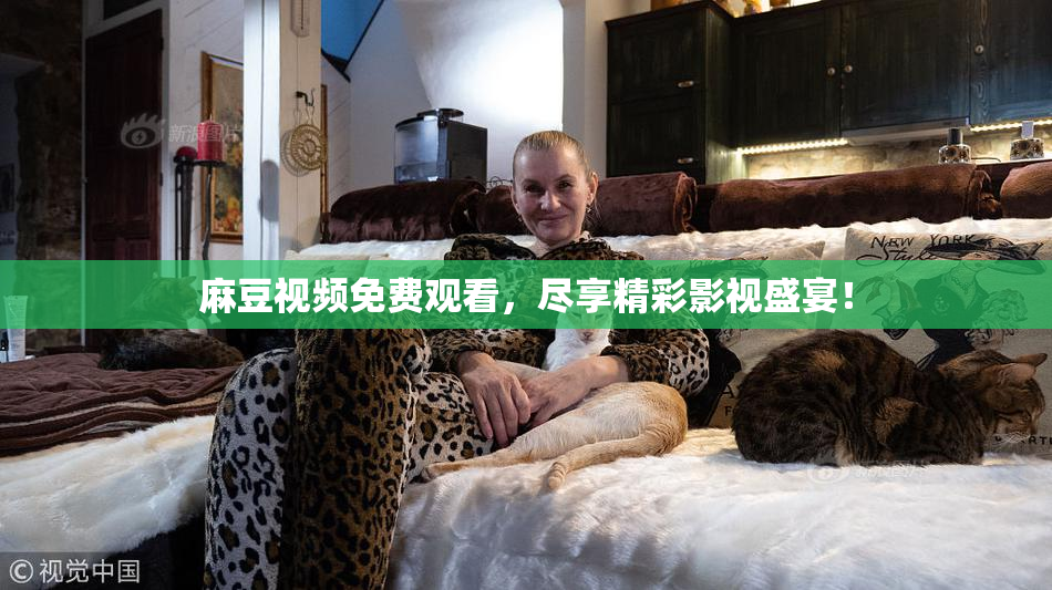 麻豆视频免费观看，尽享精彩影视盛宴！
