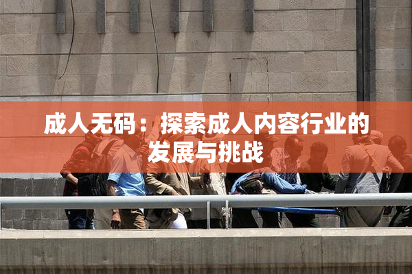 成人无码：探索成人内容行业的发展与挑战