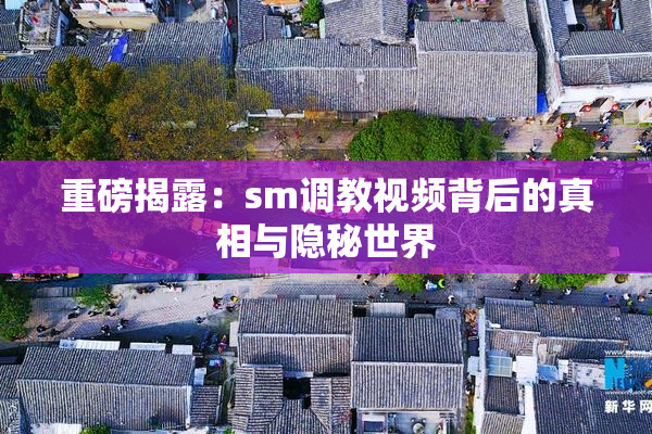 重磅揭露：sm调教视频背后的真相与隐秘世界