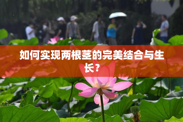 如何实现两根茎的完美结合与生长？
