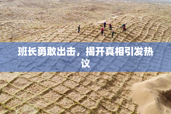 班长勇敢出击，揭开真相引发热议