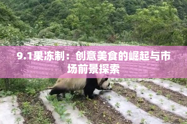 9.1果冻制：创意美食的崛起与市场前景探索