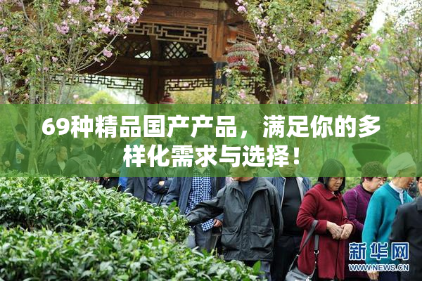 69种精品国产产品，满足你的多样化需求与选择！
