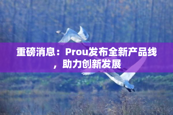 重磅消息：Prou发布全新产品线，助力创新发展