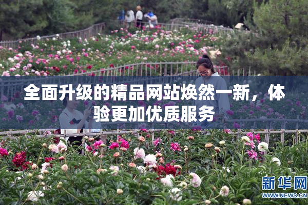 全面升级的精品网站焕然一新，体验更加优质服务