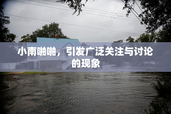 小南啪啪，引发广泛关注与讨论的现象