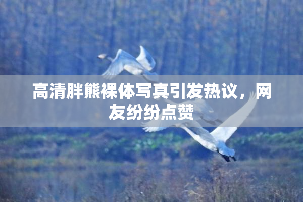 高清胖熊裸体写真引发热议，网友纷纷点赞