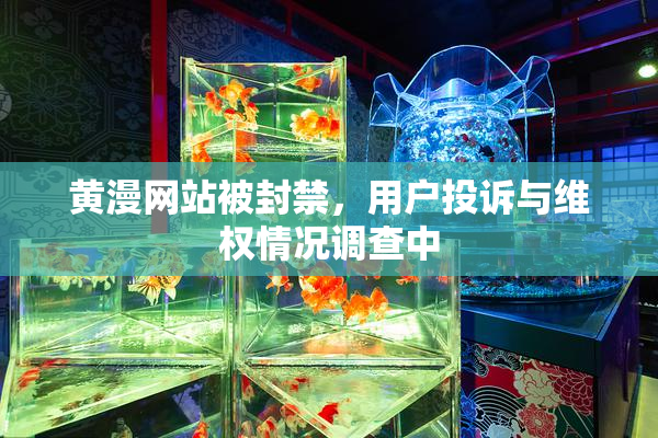 黄漫网站被封禁，用户投诉与维权情况调查中