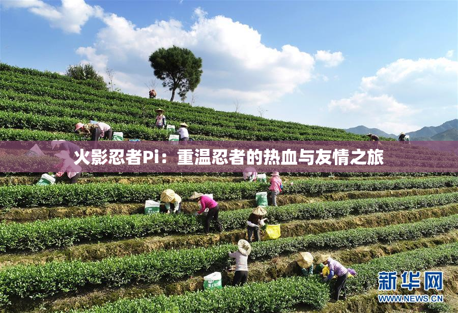 火影忍者Pi：重温忍者的热血与友情之旅