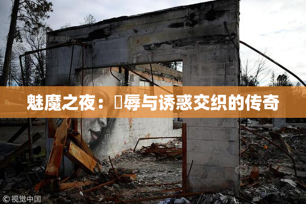 魅魔之夜：婬辱与诱惑交织的传奇