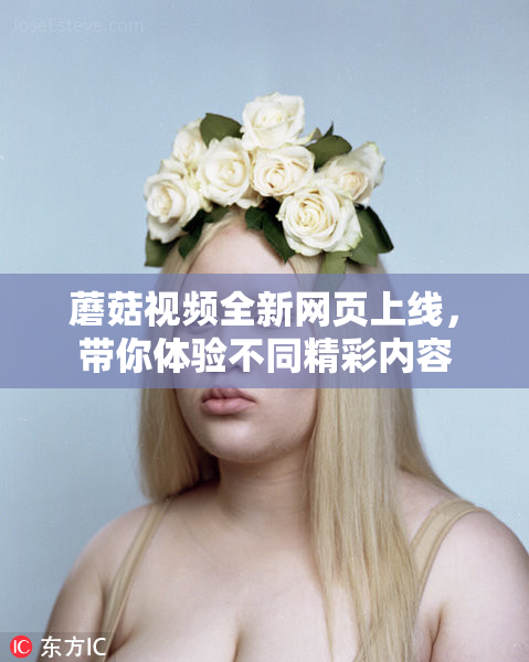 蘑菇视频全新网页上线，带你体验不同精彩内容