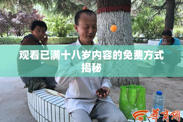 观看已满十八岁内容的免费方式揭秘