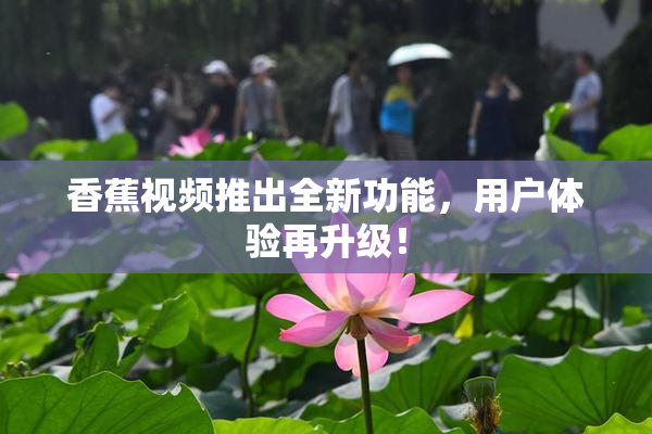 香蕉视频推出全新功能，用户体验再升级！