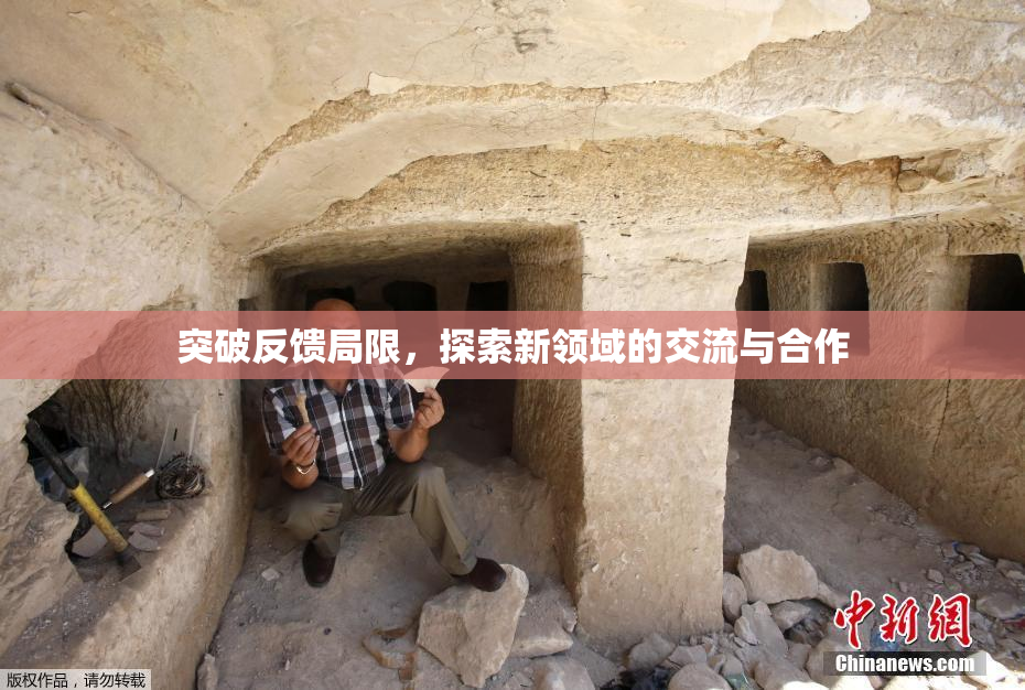 突破反馈局限，探索新领域的交流与合作