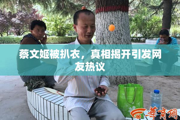 蔡文姬被扒衣，真相揭开引发网友热议