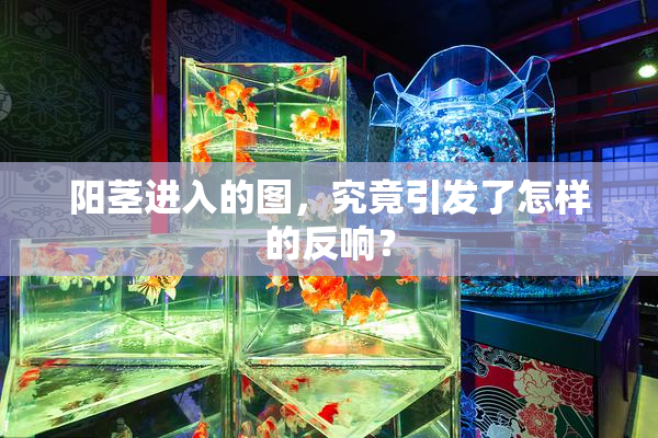 阳茎进入的图，究竟引发了怎样的反响？