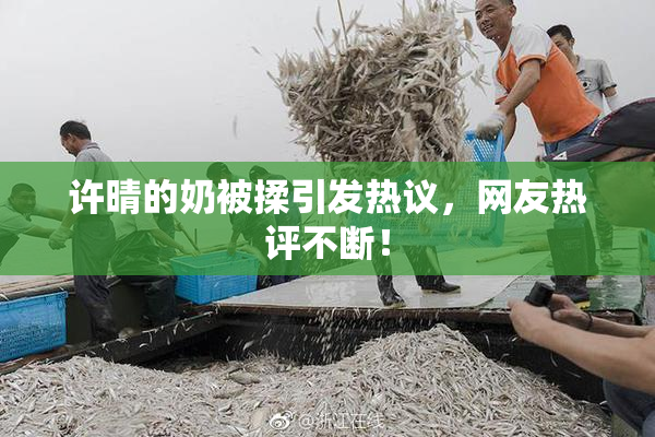 许晴的奶被揉引发热议，网友热评不断！