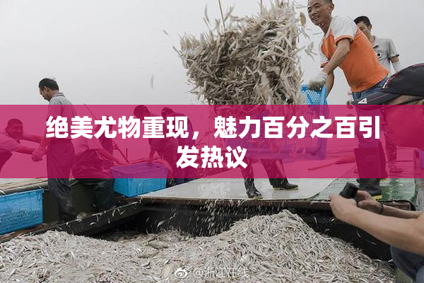 绝美尤物重现，魅力百分之百引发热议