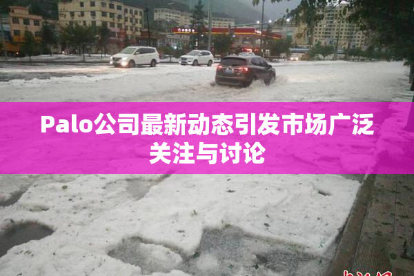 Palo公司最新动态引发市场广泛关注与讨论