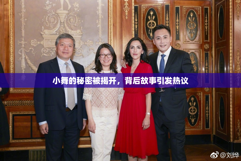 小舞的秘密被揭开，背后故事引发热议