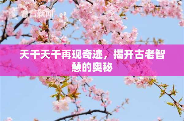 天干天干再现奇迹，揭开古老智慧的奥秘