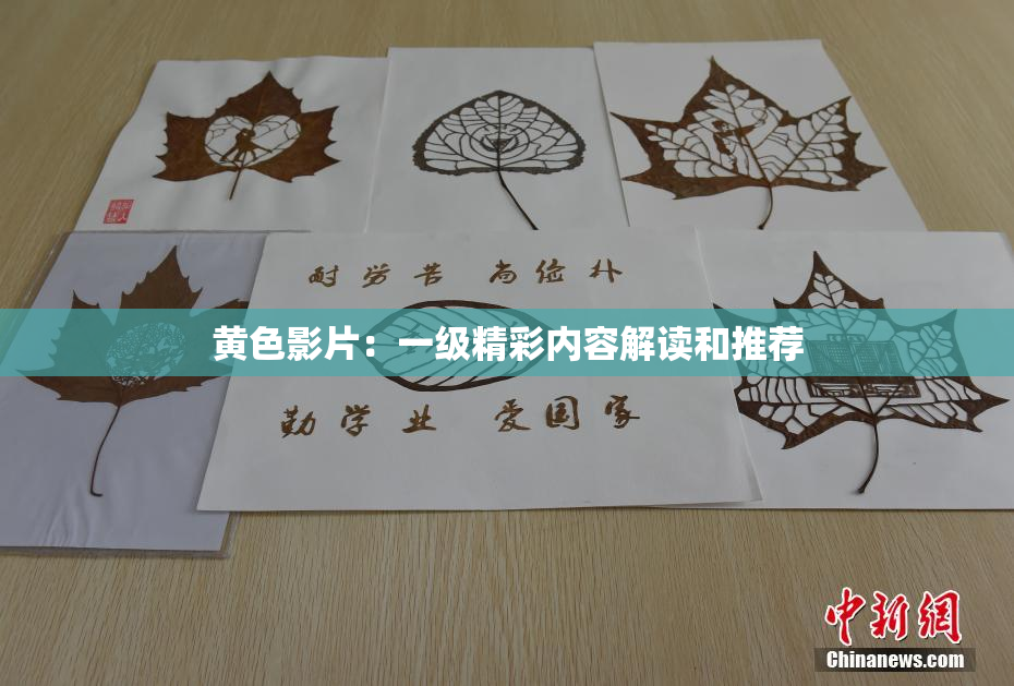 黄色影片：一级精彩内容解读和推荐