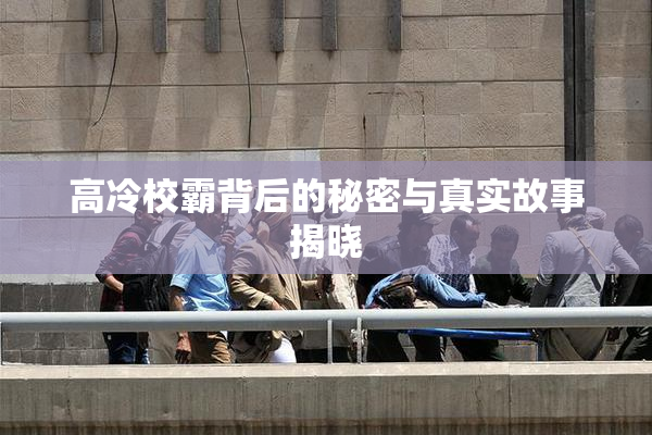 高冷校霸背后的秘密与真实故事揭晓
