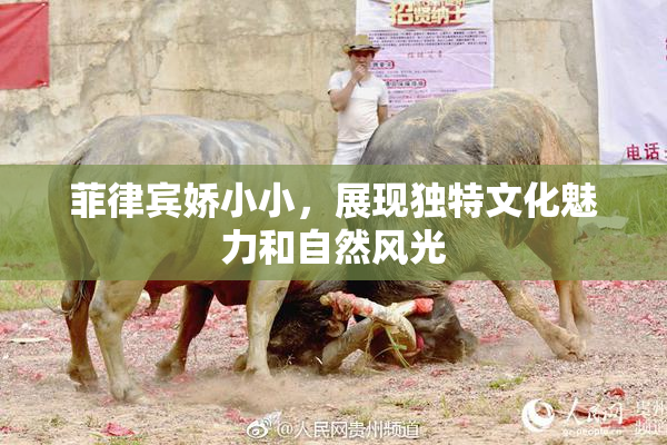 菲律宾娇小小，展现独特文化魅力和自然风光