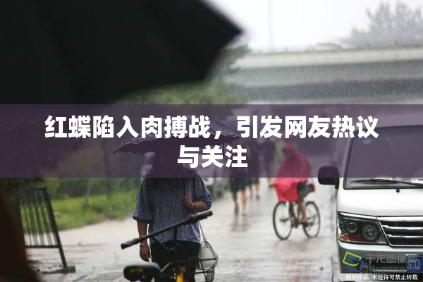 红蝶陷入肉搏战，引发网友热议与关注