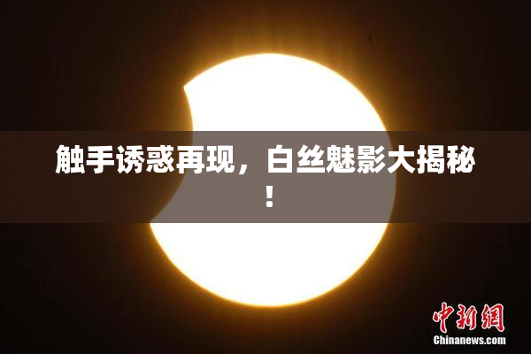 触手诱惑再现，白丝魅影大揭秘！