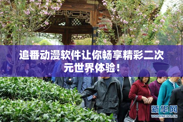 追番动漫软件让你畅享精彩二次元世界体验！