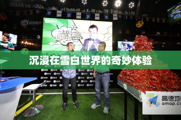 沉浸在雪白世界的奇妙体验