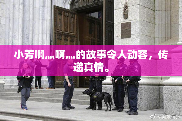 小芳啊灬啊灬的故事令人动容，传递真情。
