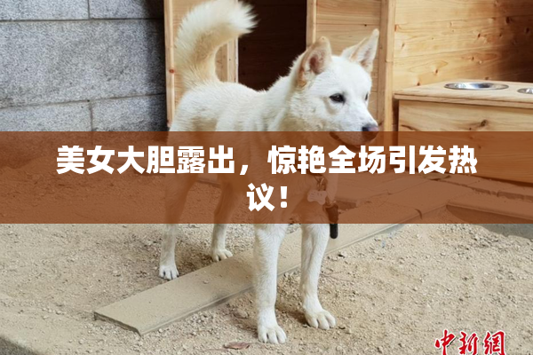 美女大胆露出，惊艳全场引发热议！