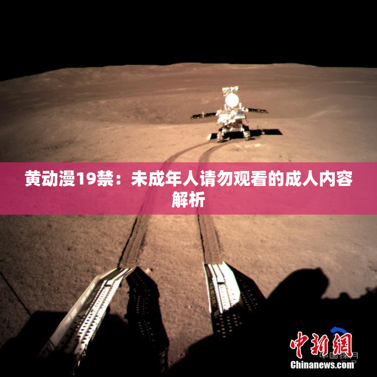 黄动漫19禁：未成年人请勿观看的成人内容解析