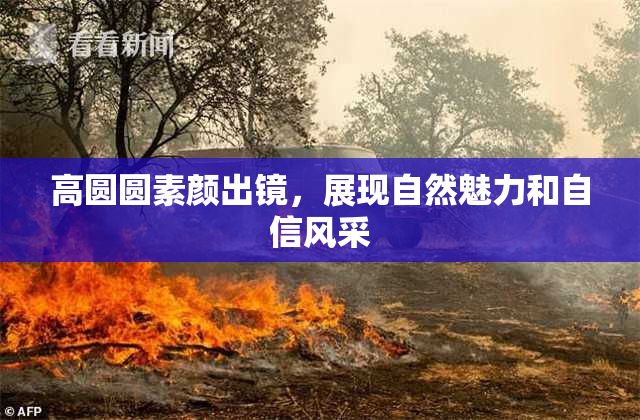 高圆圆素颜出镜，展现自然魅力和自信风采