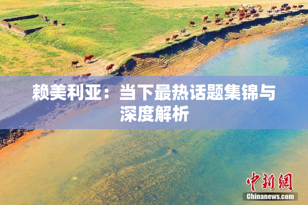 赖美利亚：当下最热话题集锦与深度解析
