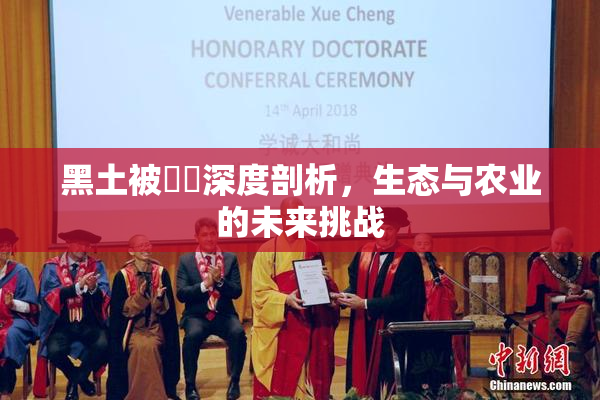 黑土被❌‌深度剖析，生态与农业的未来挑战