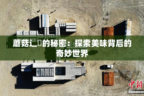 蘑菇辶喿的秘密：探索美味背后的奇妙世界