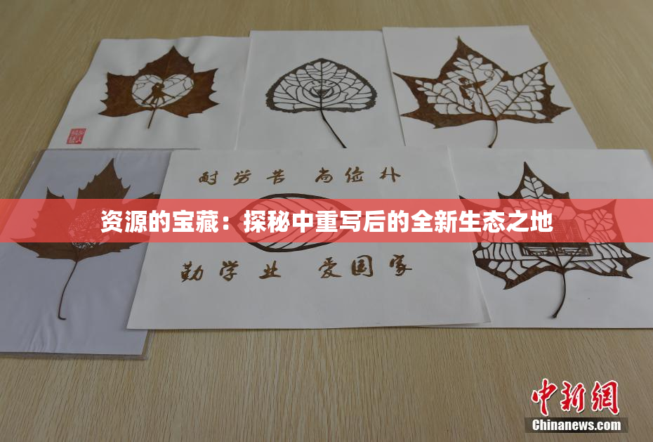 资源的宝藏：探秘中重写后的全新生态之地