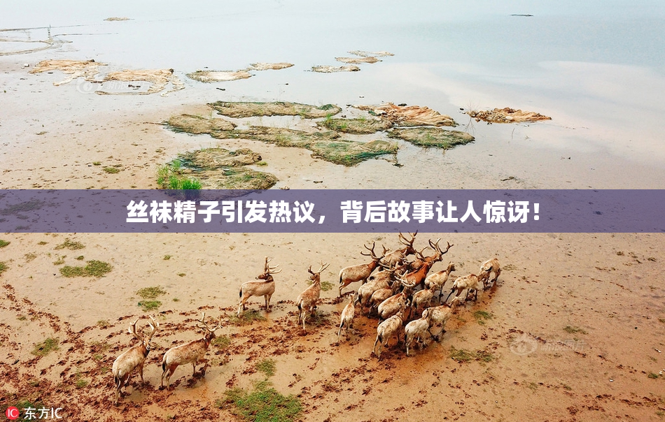 丝袜精子引发热议，背后故事让人惊讶！