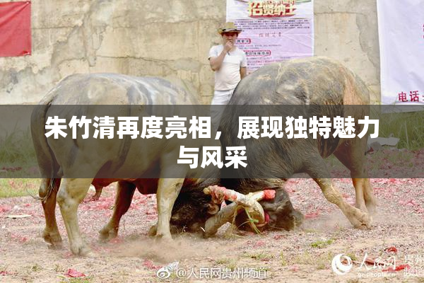 朱竹清再度亮相，展现独特魅力与风采